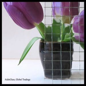 Wired Patterned Glass